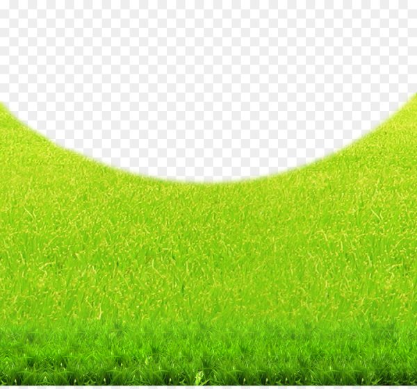 Газон нарисованный