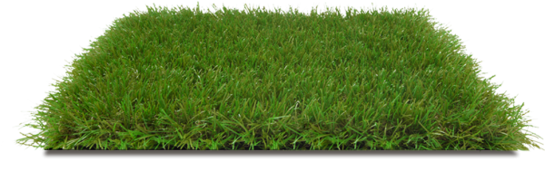 Газон на белом фоне