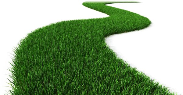 Зеленая дорожка для детей