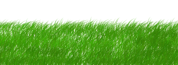 Зеленая лужайка на прозрачном фоне