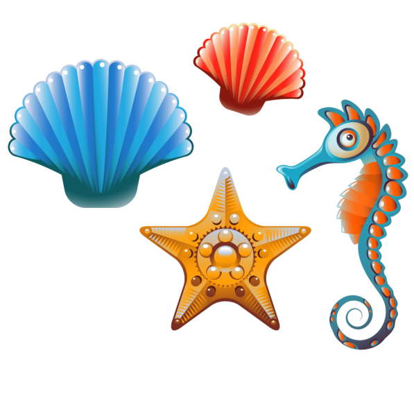 Ракушки мультяшные