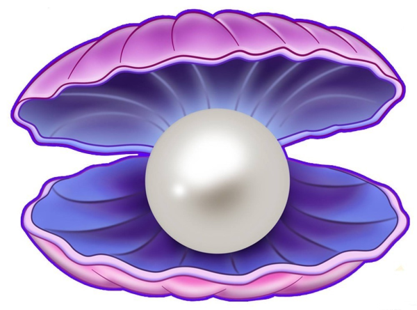 Ракушки мультяшные