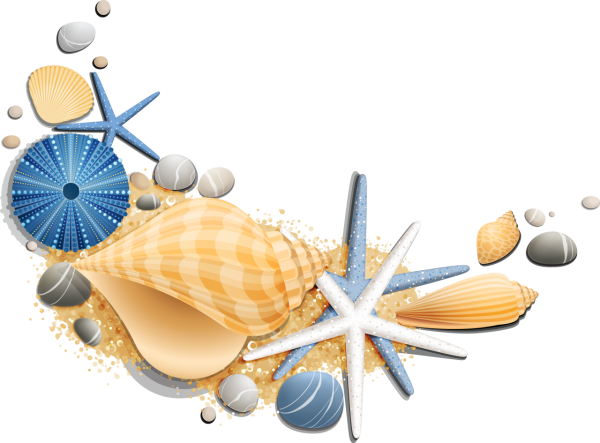 Ракушки морские мультяшные