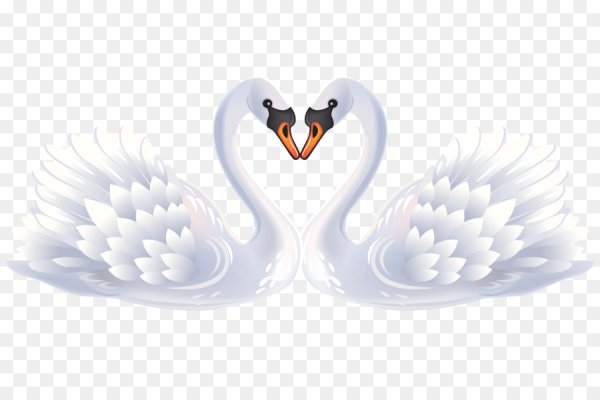 Лебедь на прозрачном фоне
