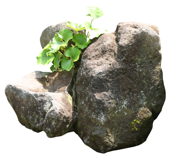 Большой булыжник