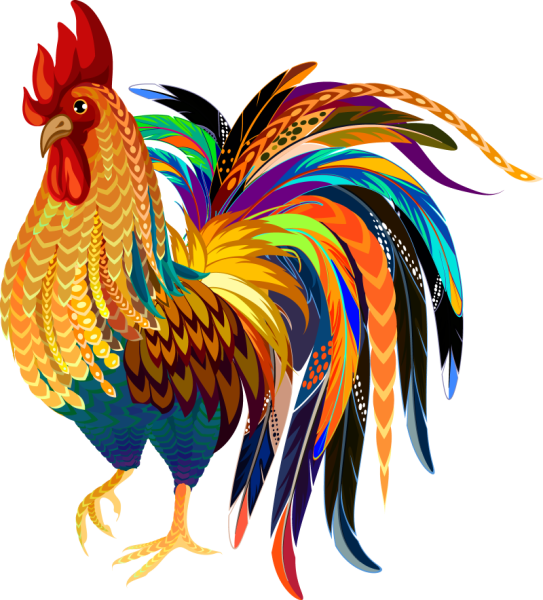 Красочный петух