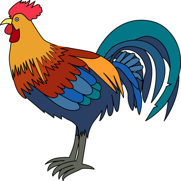Клипарт петушок сзади