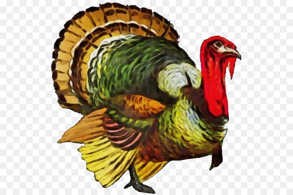 Индюк картина