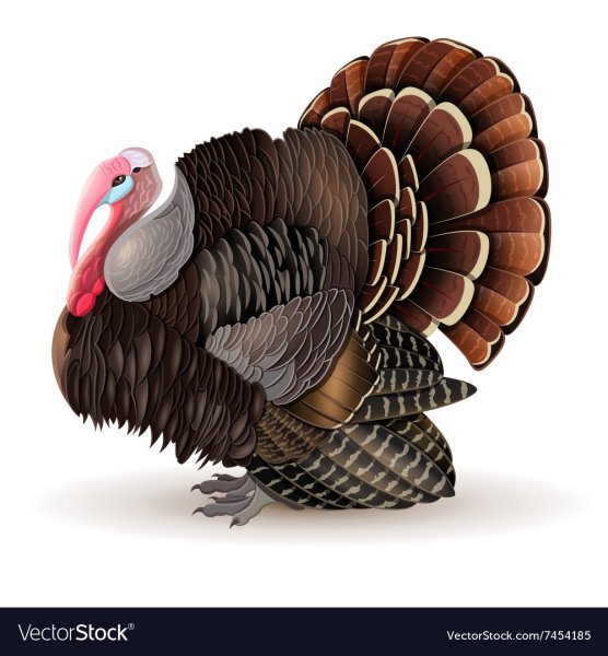 Индюк стилизация