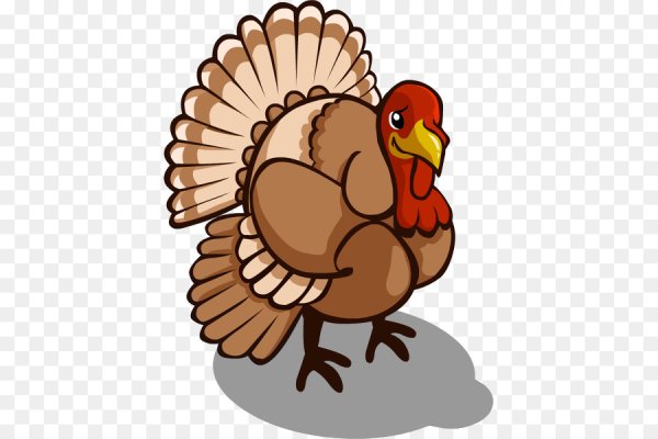 Индюк вектор