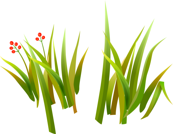 Трава рисунок