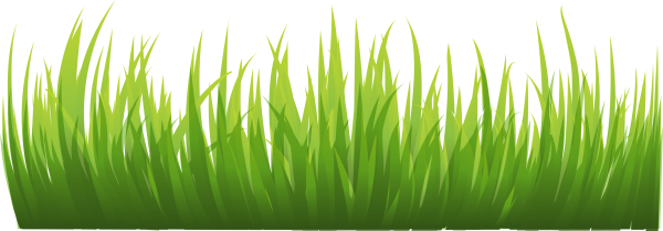 Трава на белом фоне