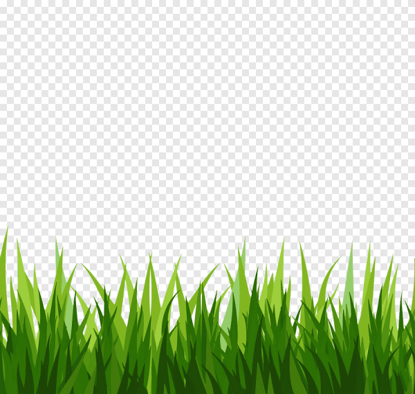 Трава вектор