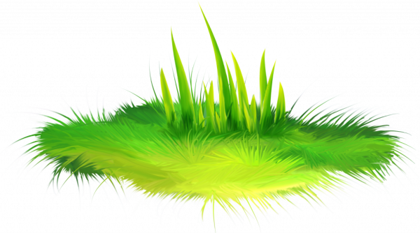 Сказочная травка