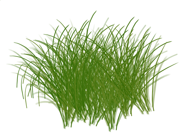 Пучок травы