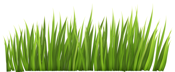 Травка для детей