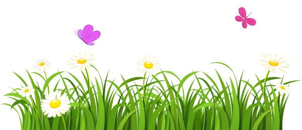Травка с цветочками