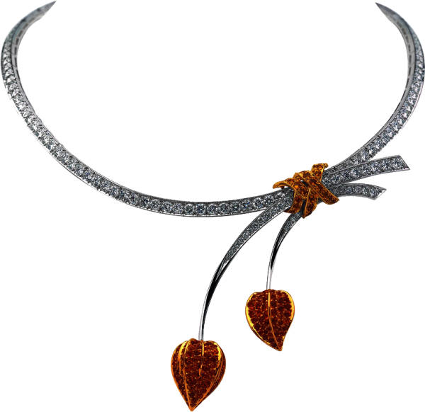 Украшения на прозрачном фоне