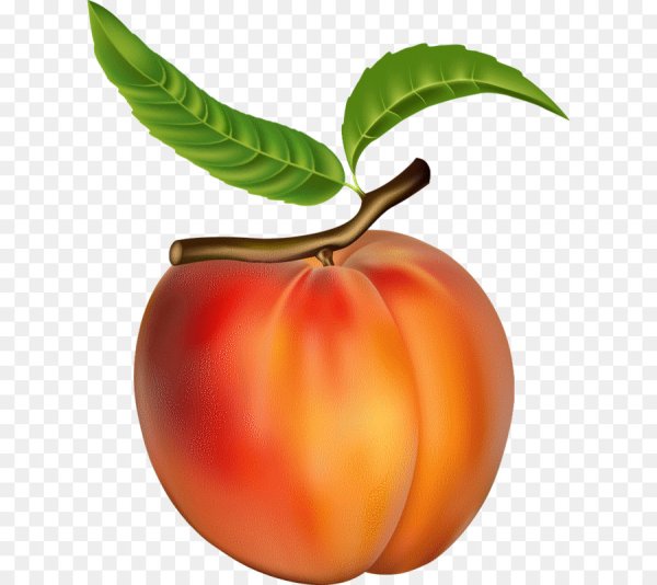 Персик для детей