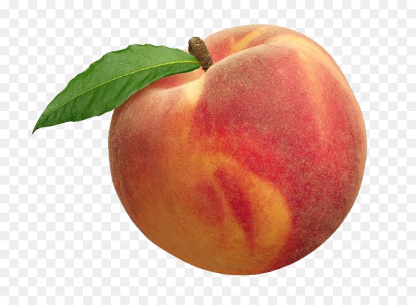Персик картинка