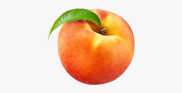 Персик для детского сада