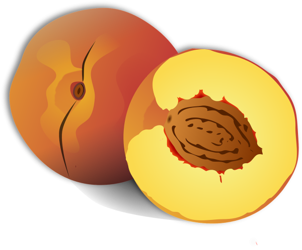 Абрикос в разрезе