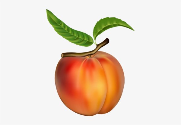 Персик Графика