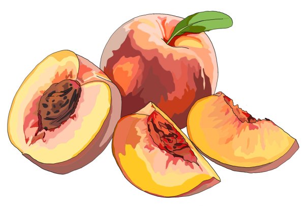 Персик на белом фоне