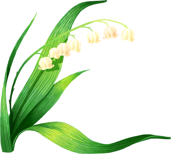 Ландыш для детей