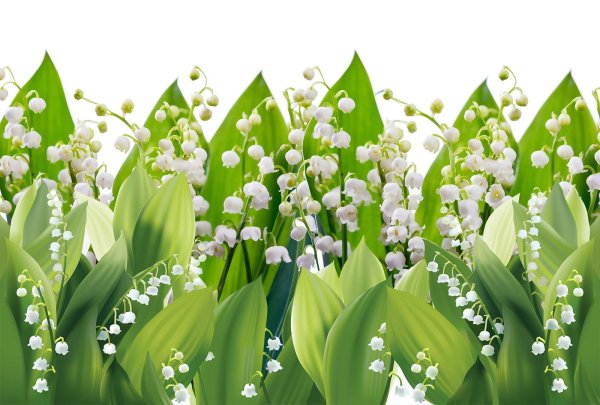 Весенние Ландыши