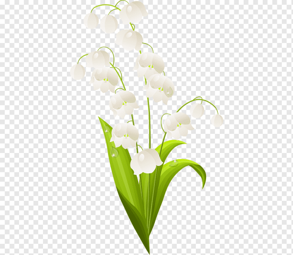 Ландыши на прозрачном фоне