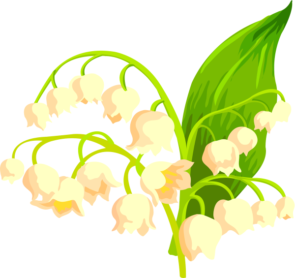 Ландыши на прозрачном фоне