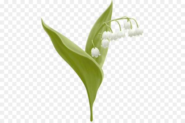 Ландыш пиктограмма