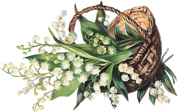 Букет ландышей акварель