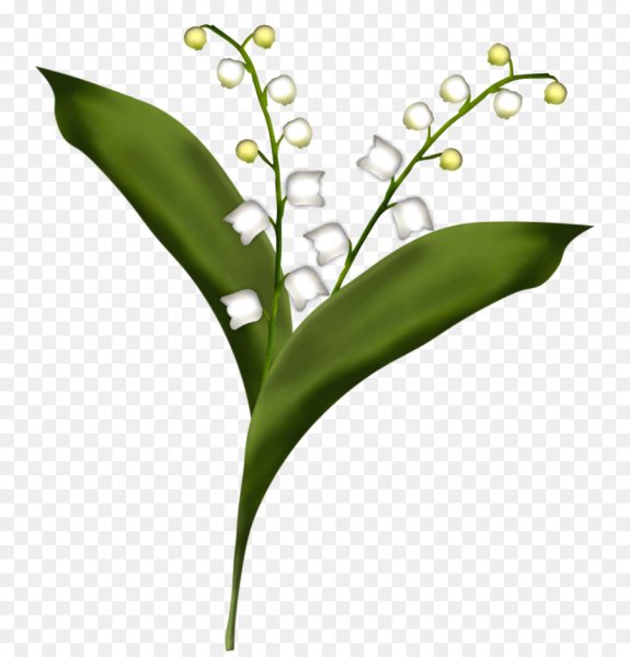 Ландыш для детей