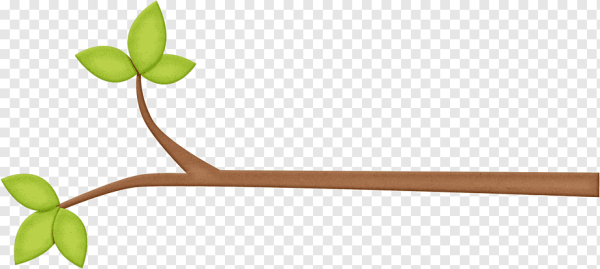 Веточка дерева