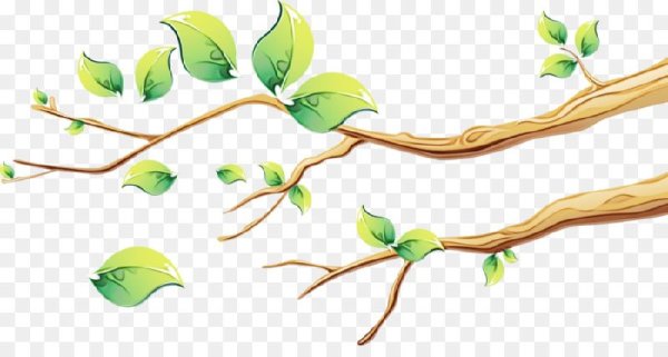 Ветка дерева мультяшная