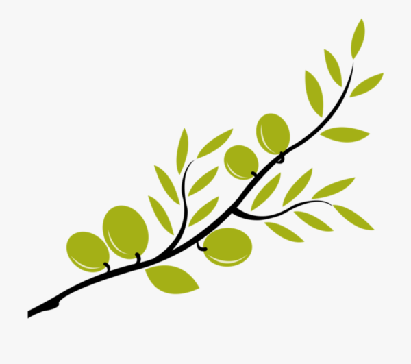 Ветка с листьями