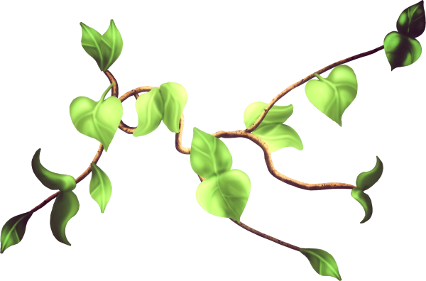 Ветка без фона