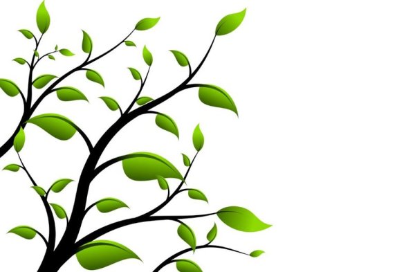 Анимационные веточки