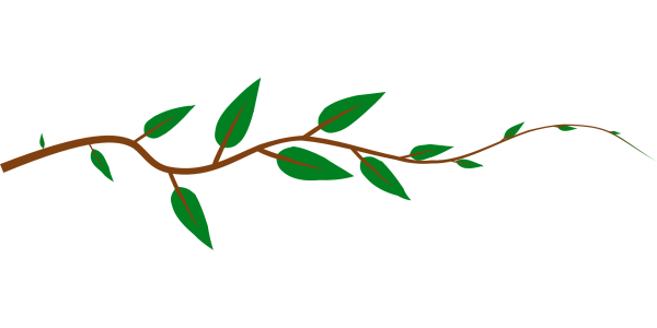 Ветка с листьями