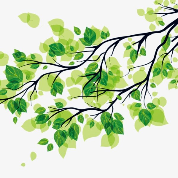 Ветка дерева с листьями вектор
