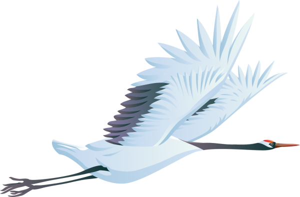 Журавль на белом фоне