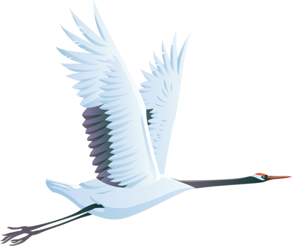 Журавли в небе без фона