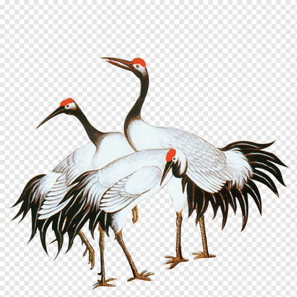 Журавель на прозрачном фоне