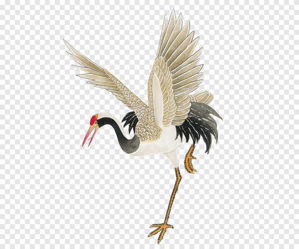 Японский журавль на прозрачном фоне
