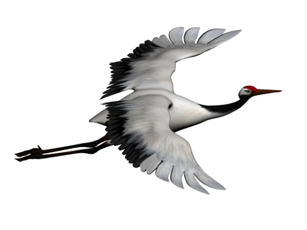 Журавль для детей