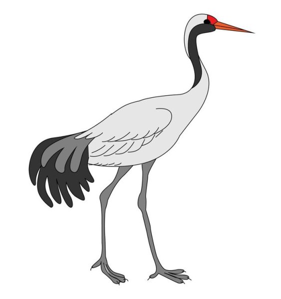 Журавль рисунок