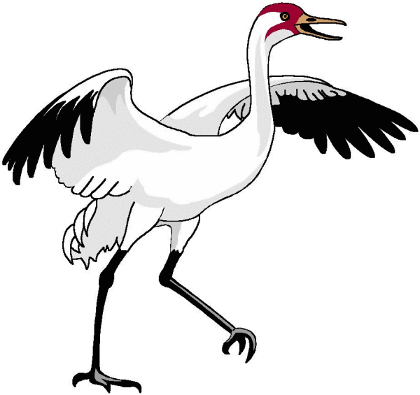 Журавль рисунок