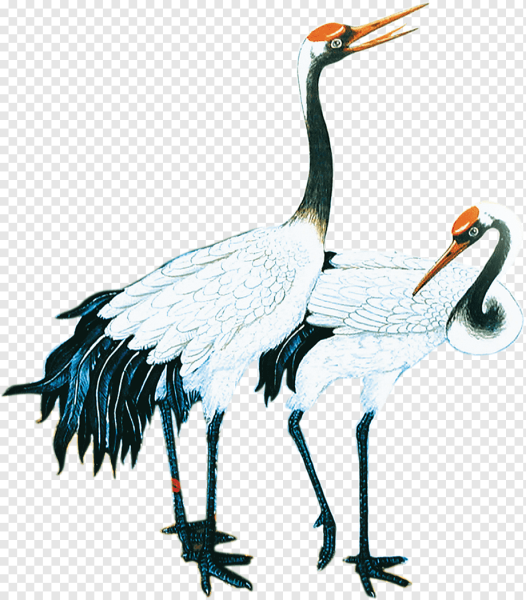 Японский журавль на прозрачном фоне